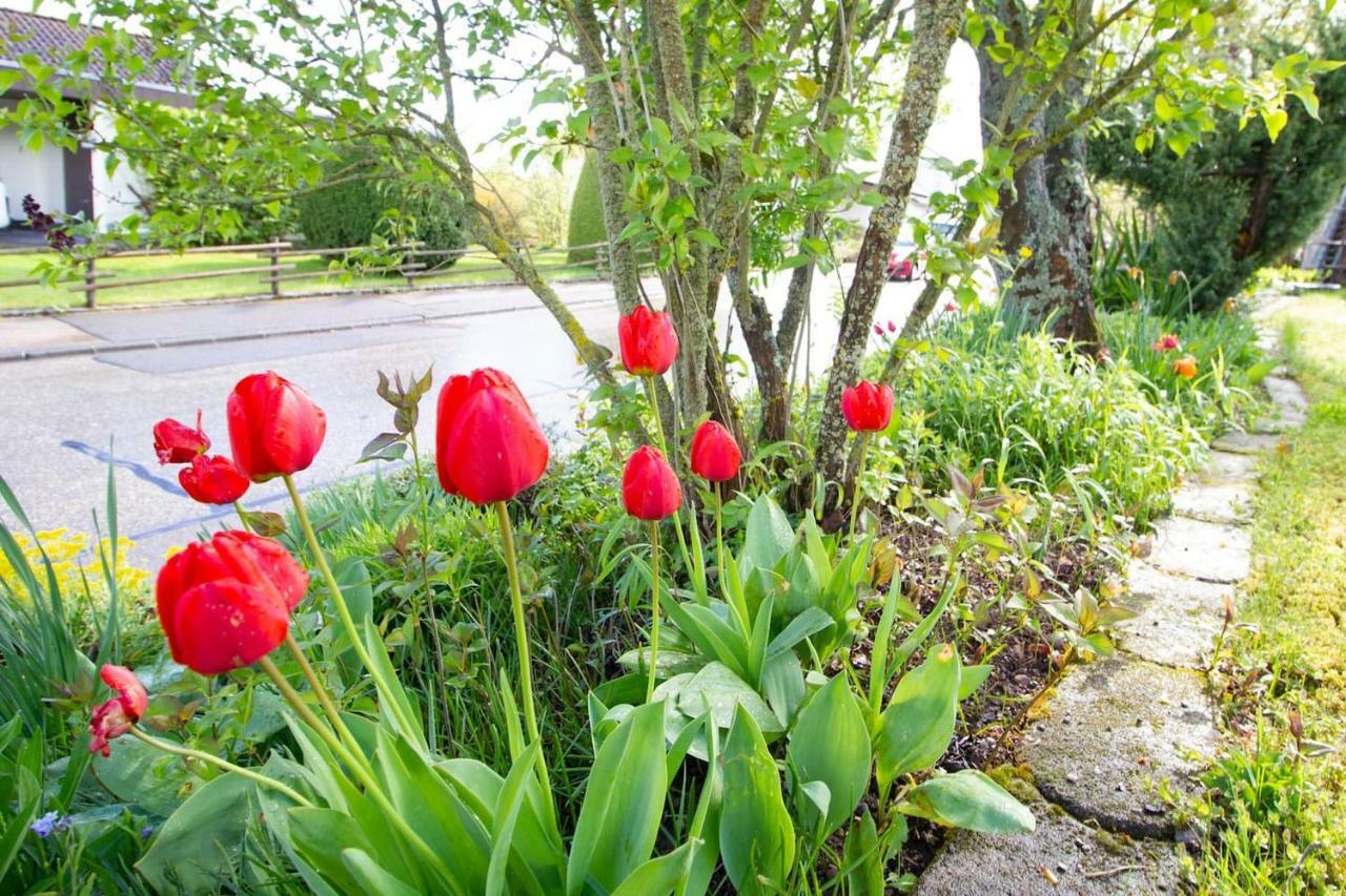 Schoene Und Helle Ferienwohnung In Pfaffenweiler Villingen-Schwenningen Kültér fotó